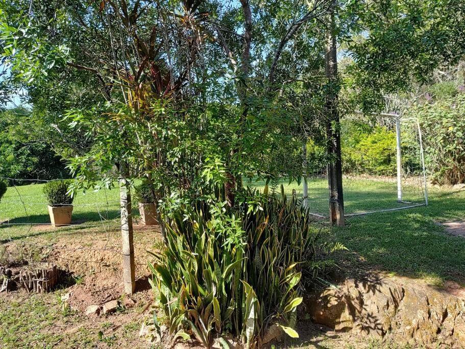 Recanto Da Zizi E Do Nezico São Roque Exteriér fotografie